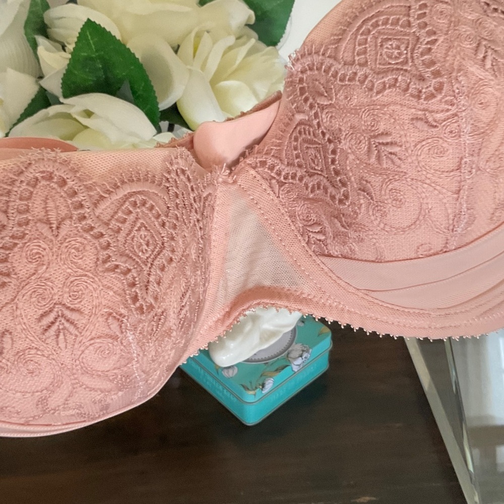 Underella by Ella Moss  special edition blush lace bra - Never worn but w/o tags